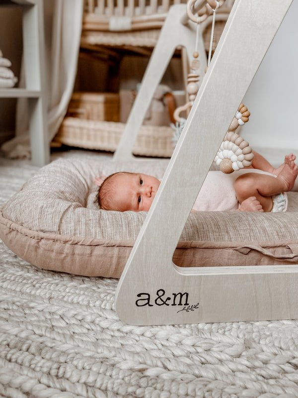 Do you need a Baby Lounger?