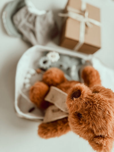 Classic Teddy Baby Gift Box - Boy
