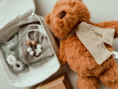Classic Teddy Baby Gift Box - Boy
