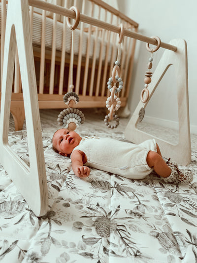 Play Gym Toys - Olive Leaf - Audrey & Me