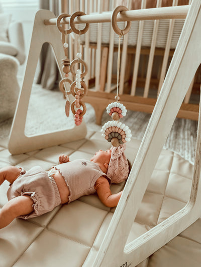 Play Gym Toys - Blush Leaf - Audrey & Me