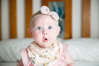 Bandana Bib - Flourish Aglow - Audrey & Me