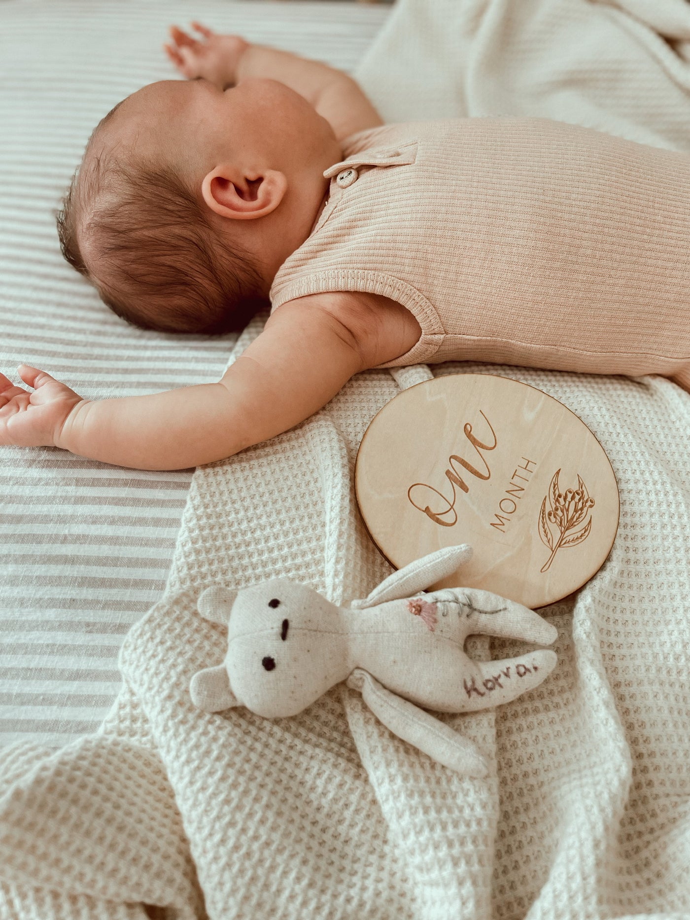 Gumnut Milestone Discs - Full Wooden Set - Audrey & Me